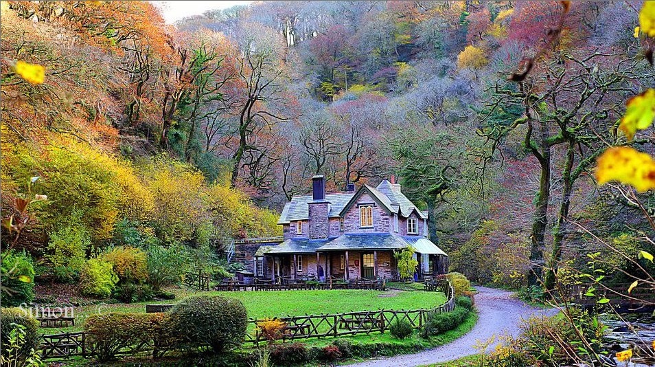 Historic country house in autumn woodland